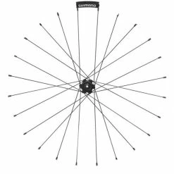 Rayon Arrière Shimano Y012AD00V - (x1)